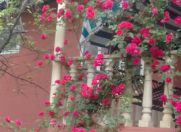 Satılır 4 otaqlı 200 m2 həyət evi Qəbələ