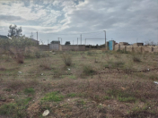 Satılır 10 sot torpaq Xaşaxuna