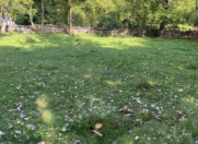 Satılır 12 sot torpaq Qəbələ