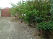 Satılır 3 otaqlı 80 m2 həyət evi Y.Suraxanı