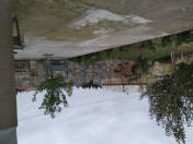 Satılır 1 otaqlı 2 m2 bağ evi Şabran