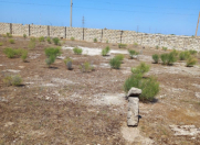 Satılır 6 sot torpaq Qala