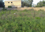 Satılır 31 sot torpaq Novxanı