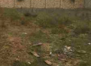 Satılır 4 sot torpaq Ramana