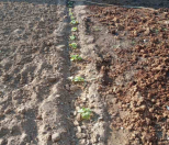 Satılır 2.5 sot torpaq Mərdəkan