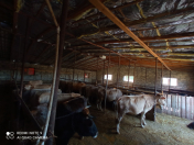 Satılır 3 otaqlı 180 m2 obyekt Hövsan