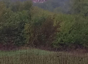 Satılır 54 sot torpaq Quba