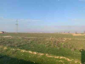 Satılır 26.2 sot torpaq Saray