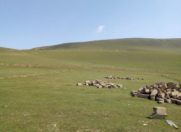 Satılır 8 sot torpaq Qobu