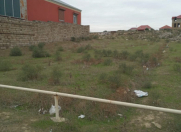 Satılır 4 sot torpaq Savalan