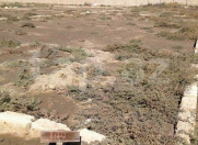 Satılır 2 sot torpaq Hövsan