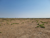 Satılır 45 sot torpaq Bilgəh