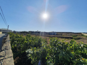 Satılır 50 sot torpaq Bilgəh