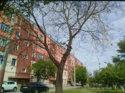 Satılır 4 otaqlı 110 m2 köhnə tikili Kürdəmir