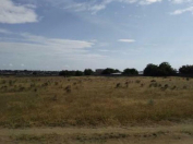 Satılır 58 sot torpaq Nardaran