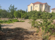 Satılır 8 sot torpaq Novxanı
