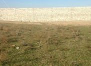 Satılır 12 sot torpaq Zirə