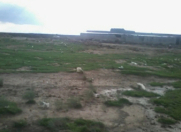 Satılır 200 sot torpaq Məhəmmədli