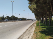 Satılır 100 sot torpaq Saray