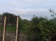 Satılır 34 sot torpaq Göyçay