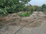 Satılır 9 otaqlı 12 m2 köhnə tikili Binə