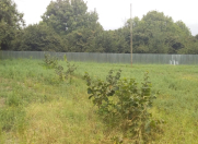 Satılır 30 sot torpaq Qəbələ