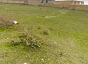 Satılır 6 sot torpaq Şəki