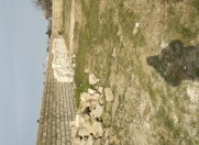 Satılır 12 sot torpaq Albalı