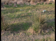 Satılır 12 sot torpaq Sumqayıt