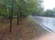 Satılır 30 sot torpaq Oğuz