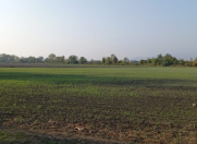 Satılır 150 sot torpaq Oğuz