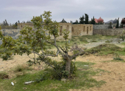 Satılır 4 sot torpaq Sumqayıt