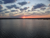 Satılır 750 sot torpaq Salyan