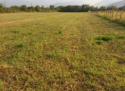 Satılır 57 sot torpaq Zaqatala