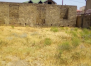 Satılır 100 sot torpaq Məhəmmədli