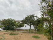 Satılır 18 sot torpaq Mərdəkan