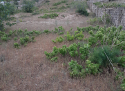 Satılır 22 sot torpaq Kürdəxanı