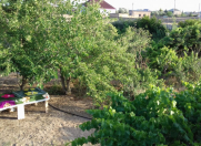 Satılır 5 otaqlı 120 m2 bağ evi Şüvəlan Park ticarət mərkəzi