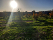 Satılır 5.5 sot torpaq Koroğlu m.