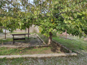 Satılır 4 otaqlı 300 m2 həyət evi Buzovna