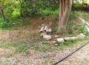 Satılır 12 sot torpaq Zabrat 1