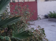 İcarəyə verilir 4 otaqlı 130 m2 həyət evi Binəqədi