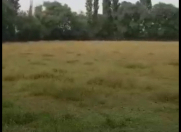 Satılır 100 sot torpaq Füzuli