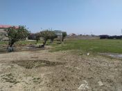 Satılır 50 sot torpaq Maştağa