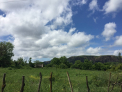 Satılır 100 sot torpaq Qəbələ