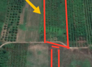 Satılır 72 sot torpaq Quba