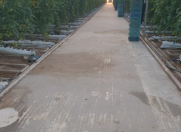 Satılır 800 sot torpaq Zirə