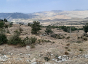 Satılır 35 sot torpaq Xızı