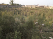 Satılır 15 sot torpaq Xəzər r.