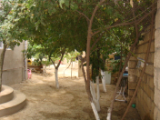 Satılır 2 otaqlı 150 m2 həyət evi Atyalı